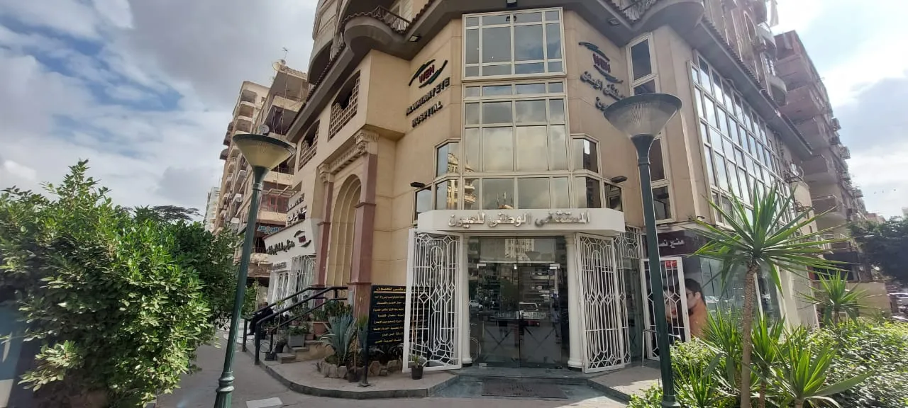 Hegaz Branch branch photo
